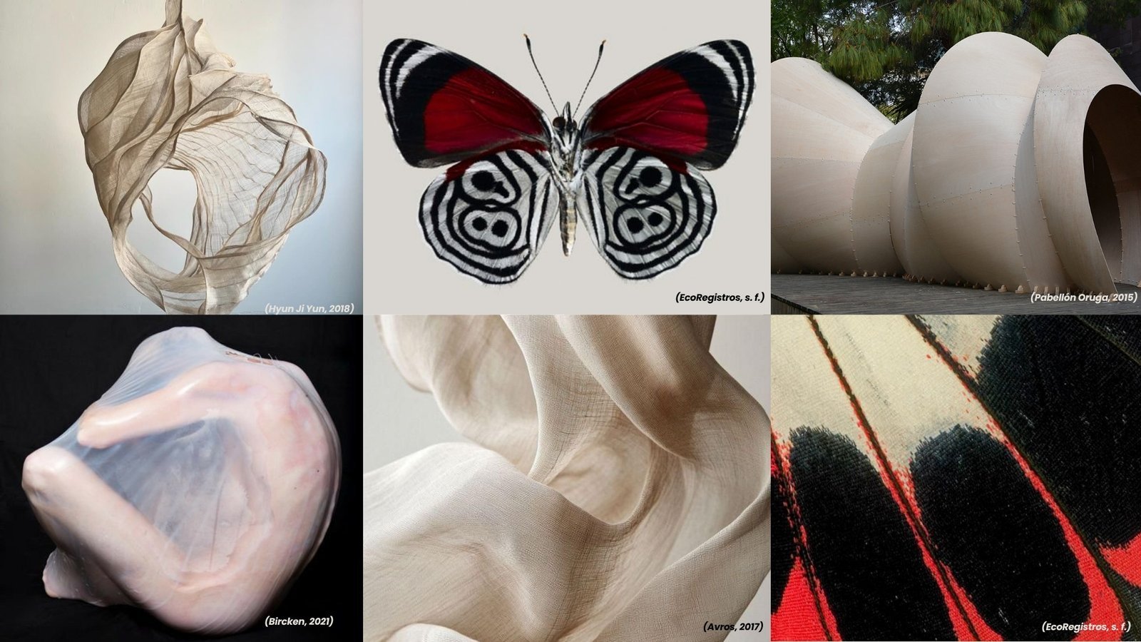 Moodboard de referencias — Hyun Ji Yun (2018), EcoRegistros (s.f.), Pabellón Oruga (2015), Bircken (2021), Avros (2017)