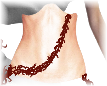 Detalle del collage: torso en capas de piel — Entre capas